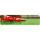 NAC ELECTRIC CHAIN   SAW 2400W 40cm