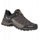 Ορειβατικά παπούτσια Salewa Mountain Trainer Lite GTX - wlt/fluo org