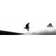 Παπούτσια trail adidas TERREX Agravic GTX - cblack/gretwo/seimor