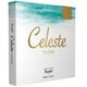 Filtr Kenko Kenko Filtr Celeste C-PL 58mm