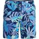 Męskie Szorty Print Brdshrt 18"  fiery red/white/french blue rozmiar 36