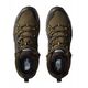 Μπότες Hedgehog mid GTX - νέο taupe πράσινο - TNF μαύρο - US 11 (44,5) THE NORTH FACE