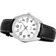 Zegarek Casio Vyriškas laikrodis Casio MTP1302PL-7B