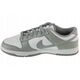Nike Dunk Low Retro HF5441-105 λευκό 46