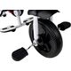 Lean Sport Rower Trójkołowy PRO300 Różowy z Rączka i Obręczą