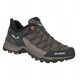 Γυναικεία παπούτσια Salewa Mountain Trainer Lite GTX - wallnut/f. coral