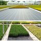 Agrotkanina czarna 100 cm x50m UV 70g antychwastowa agrowłóknina  + kotwy