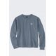 Bluza Carhartt French Terry ThunderCloud