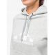 Bluza damska Helly Hansen Nord Graphic Pullover Hoodie - grey melange