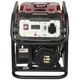 ΗΛΕΚΤΡΟΠΑΡΑΓΩΓΟ ΖΕΥΓΟΣ DY-1020/PRO 800&nbsp|W Dynamo