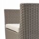 Καρέκλες κήπου 2 τεμ. Salemo Duo besi 8711245158846