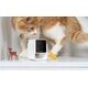 Petcube Cam | Κάμερα παρακολούθησης κατοικιδίων | WiFi, 1080p