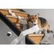 Petcube Cam | Κάμερα παρακολούθησης κατοικιδίων | WiFi, 1080p