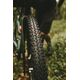 Opona GOODYEAR - Peak Gravel Ultimate Tubeless Complete 700x40/40-622 k. Blk