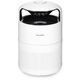 MOSQUITO TRAP PICTORIS/COP001121 STYLIES