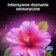 DOMESTOS Ταμπλέτα Τουαλέτας Aroma Lux Λάδι Ιβίσκου & Άγρια Μούρα 2 x 55 g