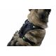 Harness 50-62 cm 81020