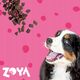 ZOYA COLDPRO Wołowina sucha karma dla psa 9kg