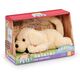 Epee HAPPY pets - Roll Over Puppy (31511178) /Γεμιστά ζώα και βελούδινα παιχνίδια 14041523 5056289425237