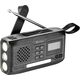Survivor DAB Radio All-in-1