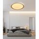 CEILING LAMP LED B2361-1L-R 49CM 45W DIM