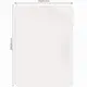 Folia matowa Bizon Glass Tab Film Sun do Apple iPad 10.9" 2022 / 11" 2025 [2 PACK]