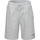 Ανδρικά Σορτς ICHIRO SHORTS