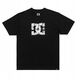 DC Star Skully SS Tee ADYZT05461-KVJ0 Czarne L