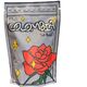 Runty Roaster - kawa ziarnista Kolumbia La Villa Geisha Yeast Anaerobic Washed Filter 250 g