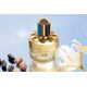 Elie Saab Girl Of Now Shine EDP 50 ml