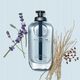 Triton Perfumy Męskie Coach EDT Open Road 60 ml