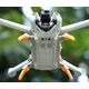 Podwyższenie podwozia Sunnylife do DJI Mini 3 (MM3-LG551) spider landing