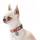 Collar WauDog Nylon Obroża nylonowa z QR-paszportem, plastikowy fastex, wzór AWOKADO NA RÓŻU, M 20mm/28-40cm
