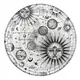 Uchwyt do telefonu POPSOCKETS 2 Plant Cosmic Sun