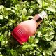 Jurlique Jurlique, Herbal Recovery Signature, Firming, Serum, For Face, 30 ml For Women