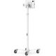 Compulocks Universal Tablet Cling Articulating Arm Mount Black, Tablet/UMPC, Passive holder, Indoor, Silver