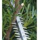 Cordless hedge trimmer MAKITA UN001GZ 40V MAX XGT