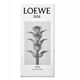 Loewe 001 Man EDT M 75 ml