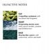 M.Brown Coastal Cypress & Sea Fennel Body Lotion