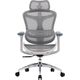 Fotel biurowy Sihoo DORO C300L Mesh White