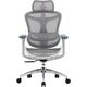 Fotel biurowy Sihoo DORO C300L Mesh White