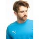 Puma Bluza męska Puma Team Goal Casuals Crew Neck Sweat niebieska 658592 02 M