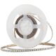 Ταινία LED SKOFF Skoff ταινία LED TL-048-A-H-2-PL-00-01 12V 4,8W/M 3000K IP20 5m