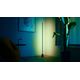 Wiz Gradient Floor Light  RGB  Bluetooth  Matter  black - Vieda lampa 929004732801 (8719514865273)