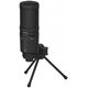 Συμπυκνωτικό μικρόφωνο USB Behringer Behringer BM1-U 13806343 4033650000000