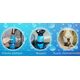 Μπουκάλι-Ποτίστρα Νερού για Σκύλους 500 ml Aqua Dog | globalsales.gr