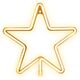 Neon LED CHRISTMAS PENTASTAR warm white FLNE22 Forever Light