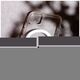 Anti Shock 1,5 mm Mag case for iPhone 12 6,1&quot; transparent