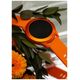 Smartwatch Forever Colorum CW-300 xOrange