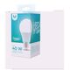 LED Bulb E27 A60 6W 230V 3000K 480lm Forever Light